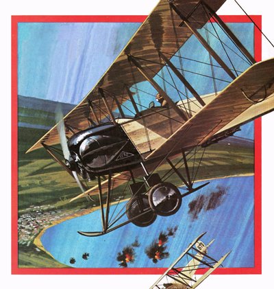 The Wooden Warrior, or AVRO 504 by English School